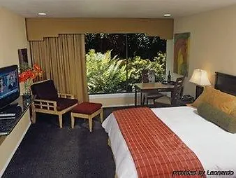 Hotel Palazzuolo Florence Italy
